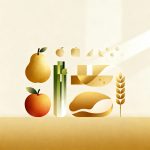 Guía esencial para una alimentación equilibrada